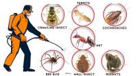 Pest Control Bayswater image 2